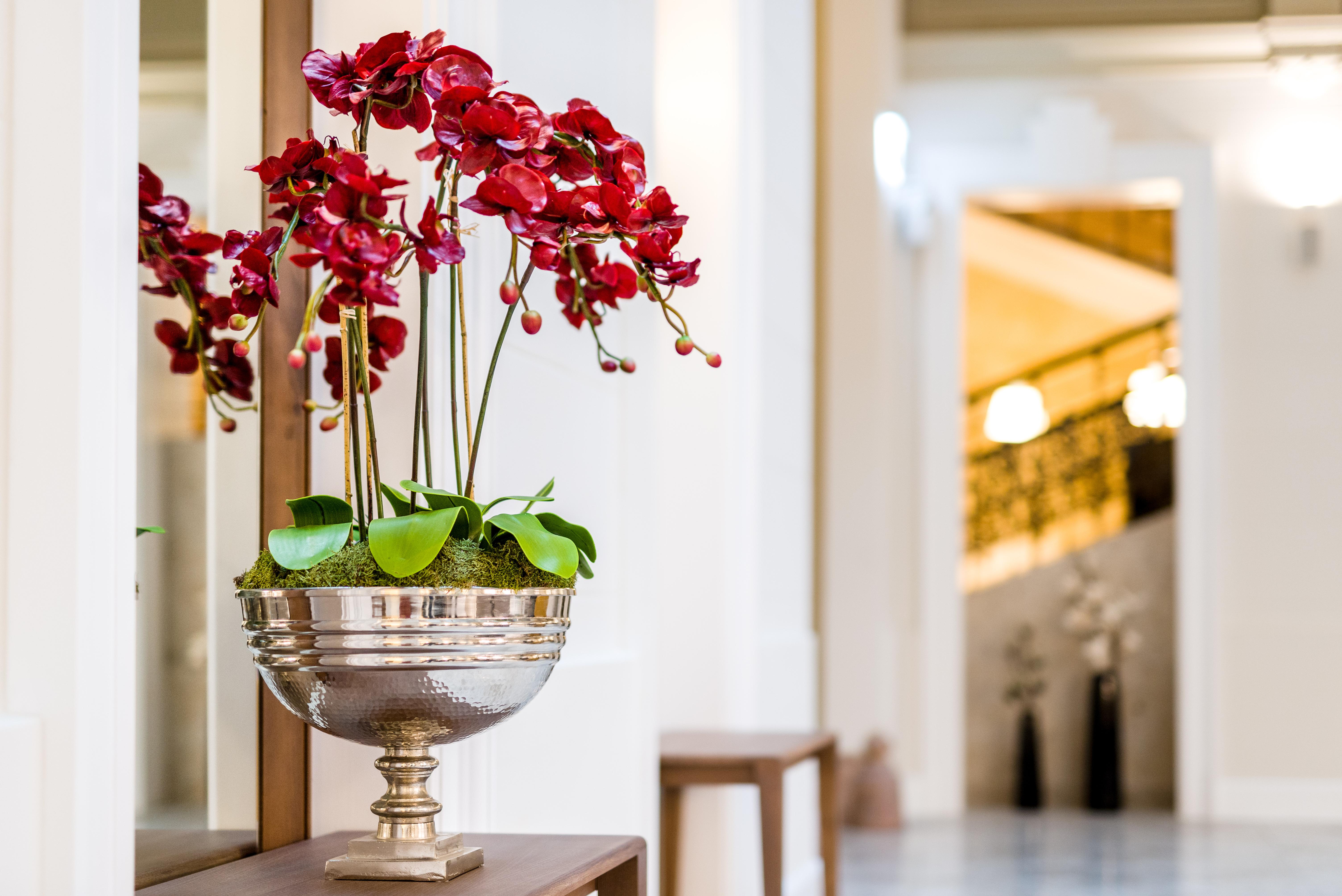 Hotel Moments Budapest By Continental Group — Photos 3